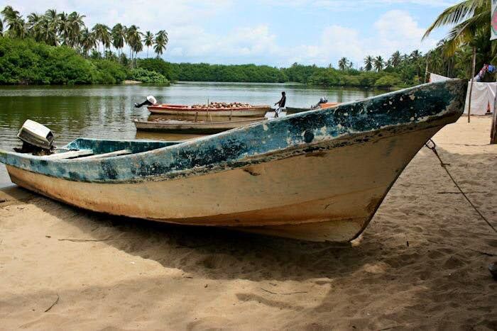 *Coyuca Lagoon Tour and Baby Turtle Release