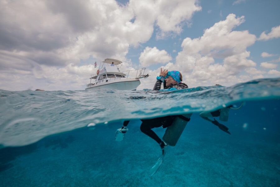 Cozumel: 2 Tanks Certified Scuba Diving