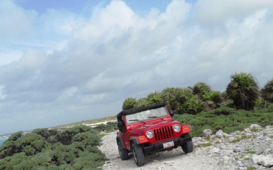 Cozumel: City Highlights Tour by Jeep - Tour Overview and Highlights