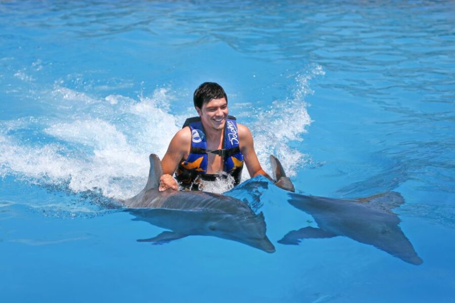 Cozumel: Dolphin Royal Swim