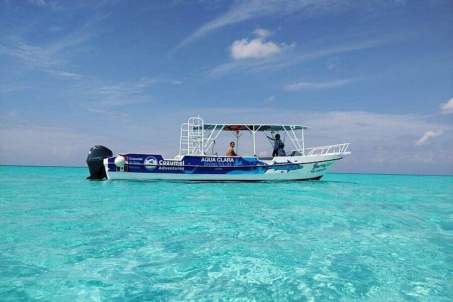 Cozumel El Cielo Sandbar and Reef Snorkeling Tour