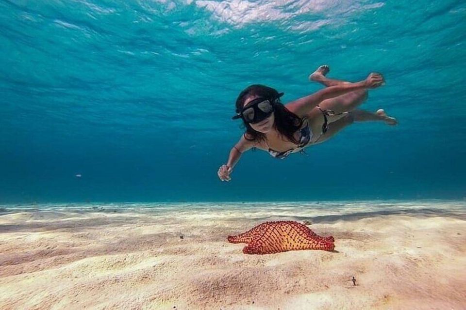 Cozumel Glass Bottom Boat Snorkeling Adventure