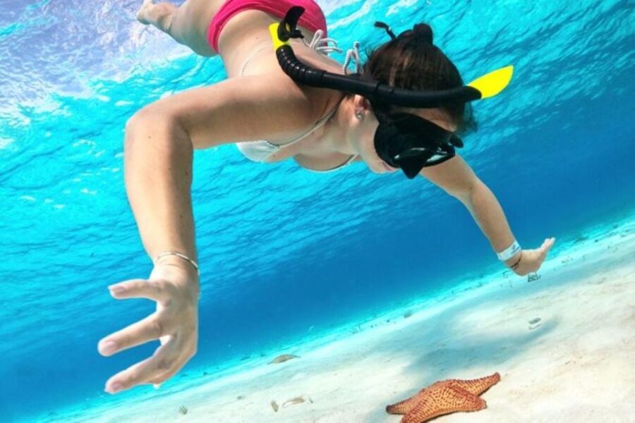 Cozumel: Private Snorkeling and Charter Experience - Experience Overview
