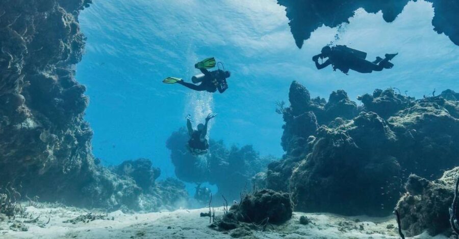 Cozumel Reefs Two Dives From the Boat