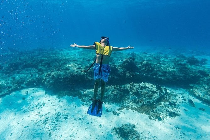 Cozumel Snorkel Tour: Coral Reefs, El Cielo & Beach (Hotel Pick Up) - Tour Overview and Highlights