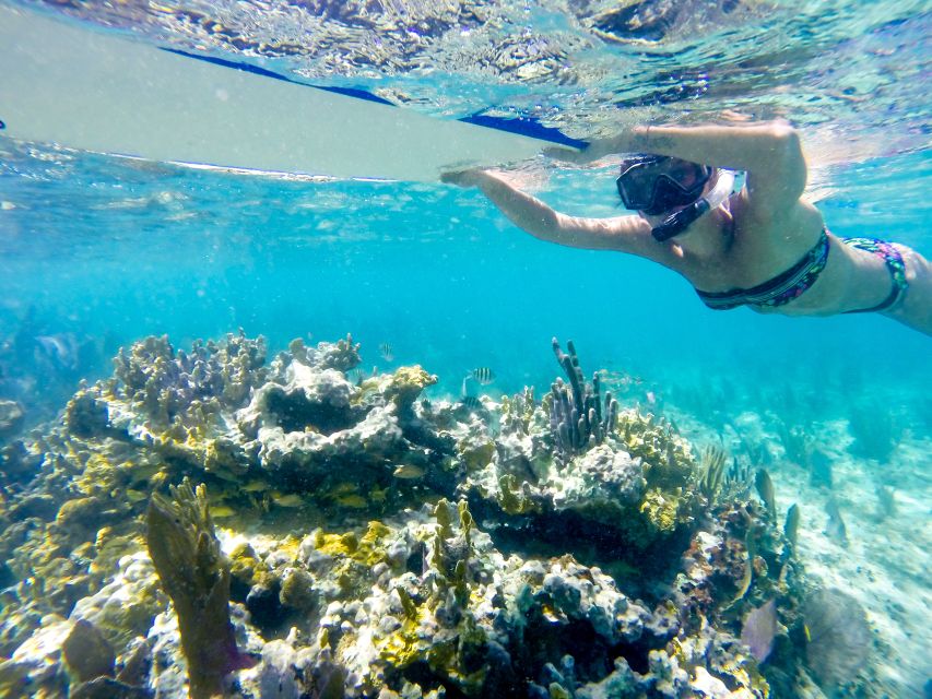 Cozumel: West Coast E-Bike and Snorkeling Tour - Tour Overview