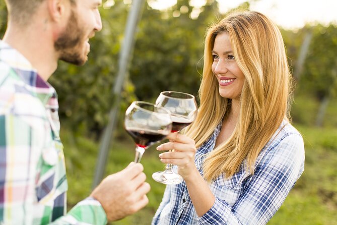 Cretan Wines & Olive Oil Tour - the Treasures of Crete