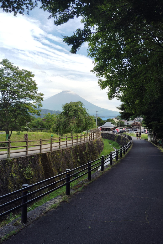 Customizable Mount Fuji Private Tour/ Eng Speaking Driver