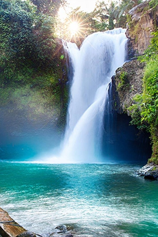3 Best Private Car With Driver Services In Tabanan