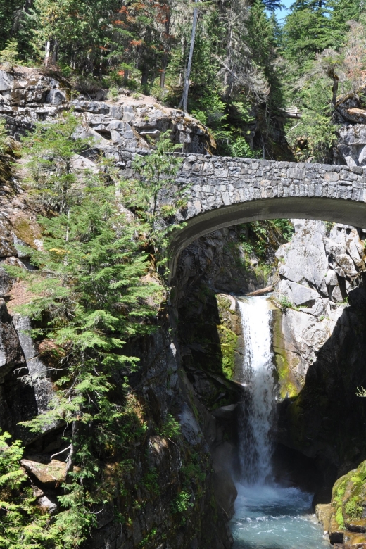 Customized Mount Rainier Tour From Seattle