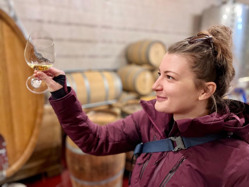 Czech Vineyards and Wine Tasting 4WD Tour With Lunch - Tour Overview and Pricing