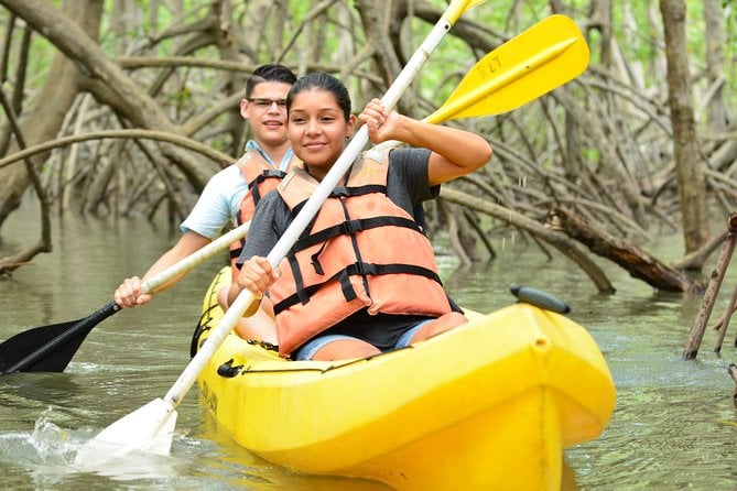 Damas Island Mangrove Kayaking Tour From Manuel Antonio - Tour Highlights