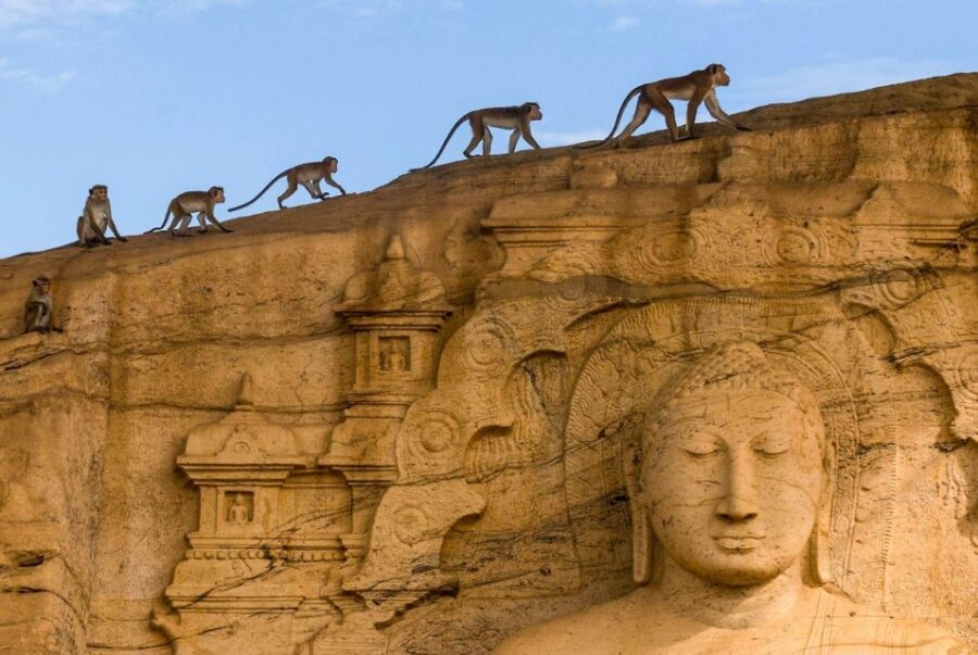 Dambulla: Polonnaruwa & Sigiriya All-Inclusive Tour