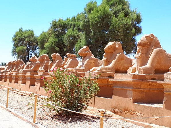 Day Tour From Luxor Airport to Kings Valley Hatshepsut and Karnak W/ Guide Lunch