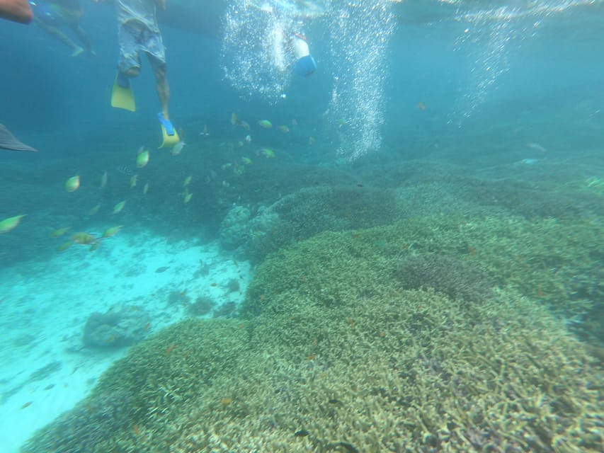 Day Tour Snorkeling Trip Gili Layar/Gili Gede&Gili Rengit