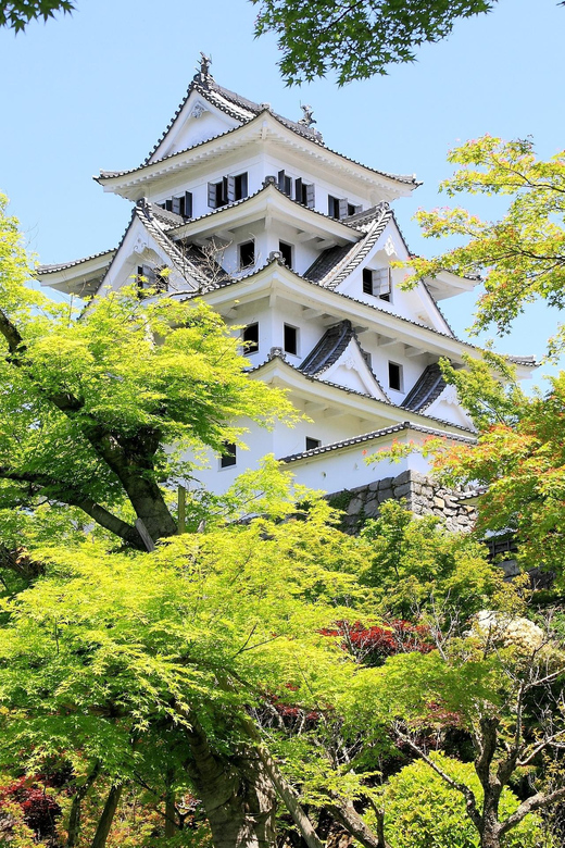 Day Trip From Nagoya (Gujo Hachiman, Takayama & Shirakawa-Go) - Tour Details