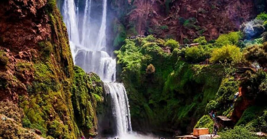 Day Trip Marrakech Ouzoud Waterfalls Guided Hike& Boat Trip