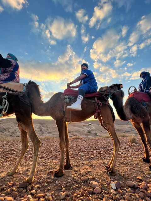Day Trip & There Valleys With Lunch From Marrakech