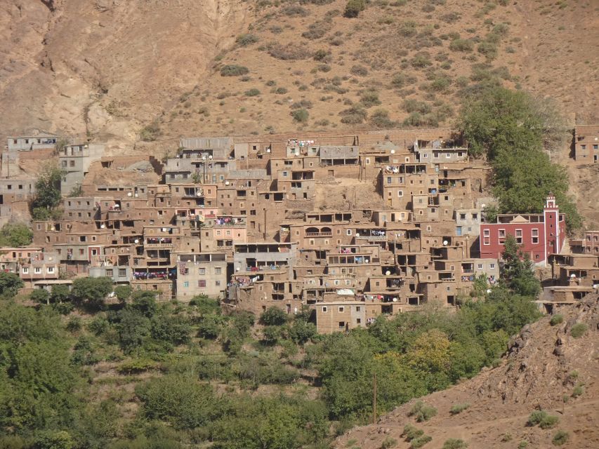 Day Trip To Atlas Mountain and Berber Village From Marrakech - Trip Overview and Pricing