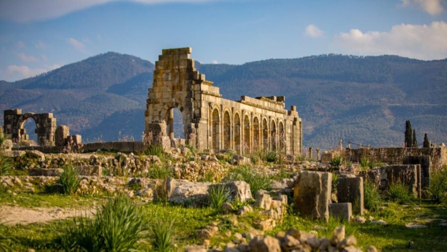 Day Trip to Meknes ,Volubilis , Moulay Idris
