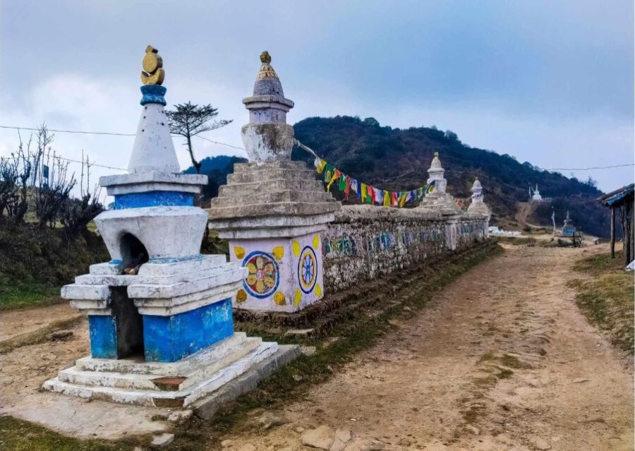 Day Trip to Singalila (Guided Private Sightseeing Tour) - Tour Overview and Pricing