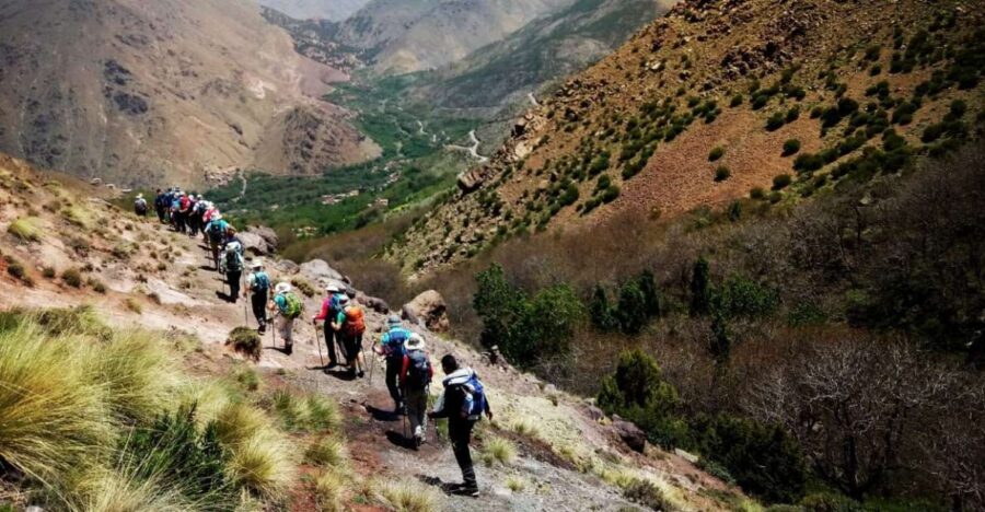 Day Trip to the Berber Villages and Camel Ride