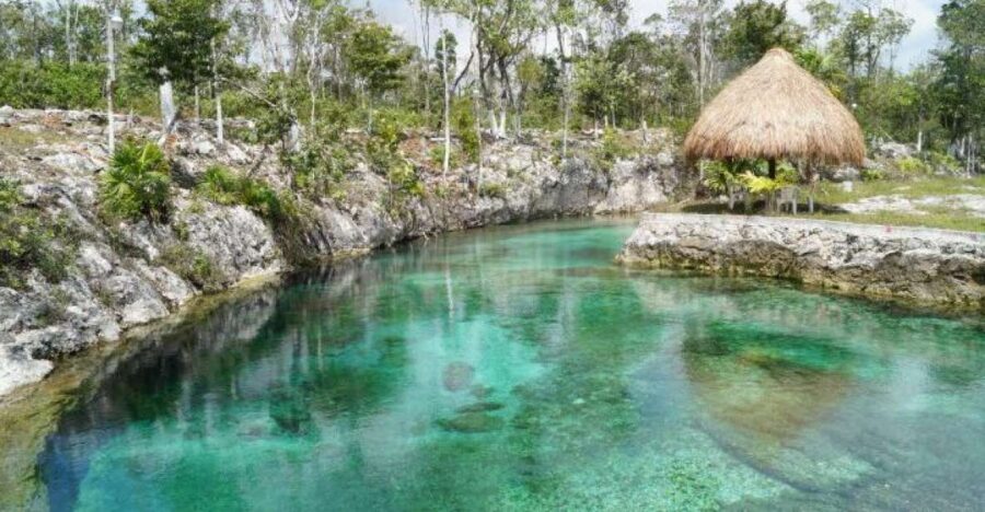Day Trip to Tulum, Cobá, Cenote and Playa Del Carmen - Trip Overview and Pricing