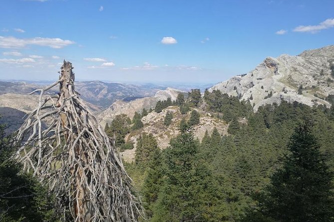 Dayhikes With Pick-Up From Marbella and Estepona