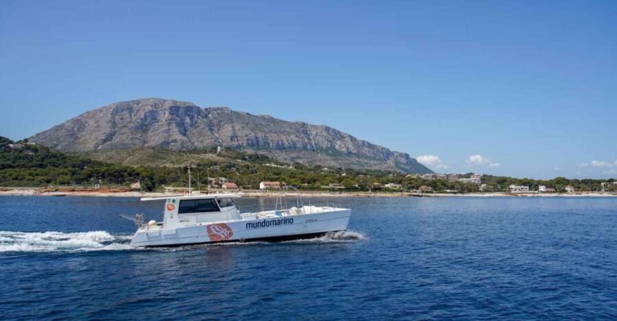 2 Best Private Car With Driver Services In Denia