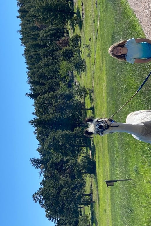 Denver: Llama Hike in the Rocky Mountains - Activity Overview