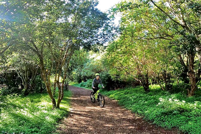 Descend in Mountain Bike in Northern Forests of Gran Canaria