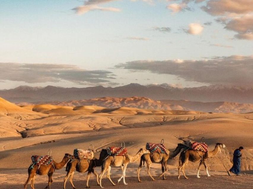 Desert Agafay Camel Ride & Ourika Valley Atlas Mountains. - Overview and Pricing