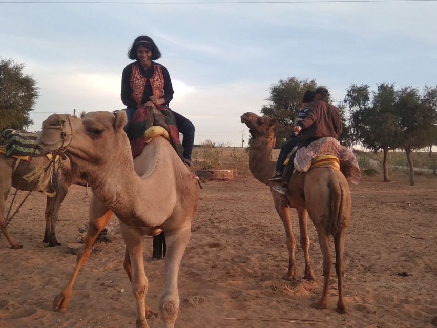 Desert Jeep Safari & Camel Safari Tour From Jodhpur