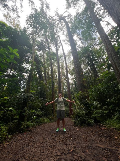 Diamond Head Manoa Falls