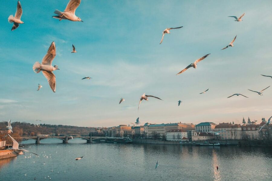 Discover Prague – 4 Hours Tour Driving
