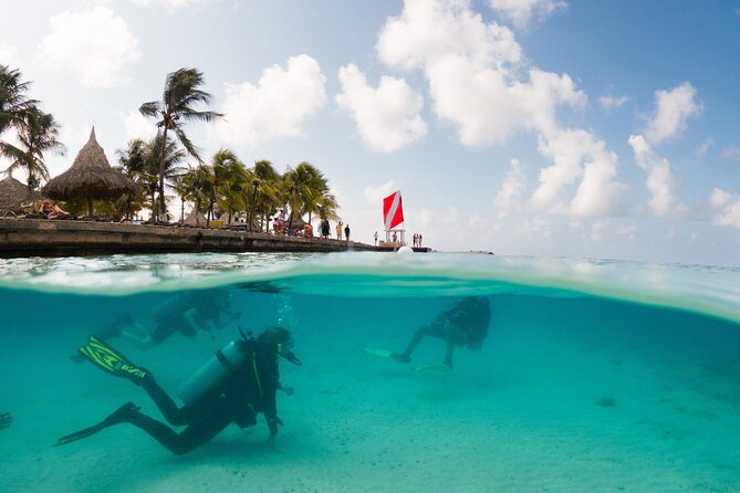 Discover Scuba Diving Experience