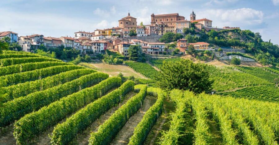 Discover the Heart of Alba and Barolo Reggion
