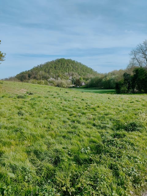 Discover the Liège Nature on Trail / Hiking-Running