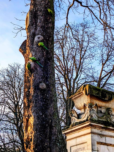 Discover the Living Beauty of Père-Lachaise