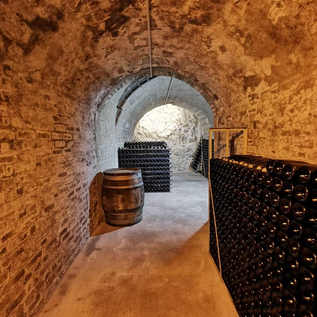 Discovering the Didier Herbert Estate