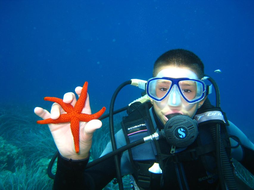 Discovery Dive - 2 Hour Uncertified Diver Introductory Dive - Activity Overview