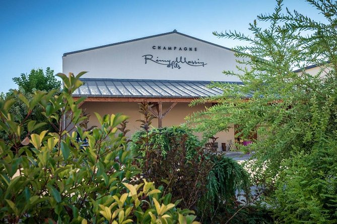 Discovery of a Champagne From Vintner, From the Cellar to the Tasting