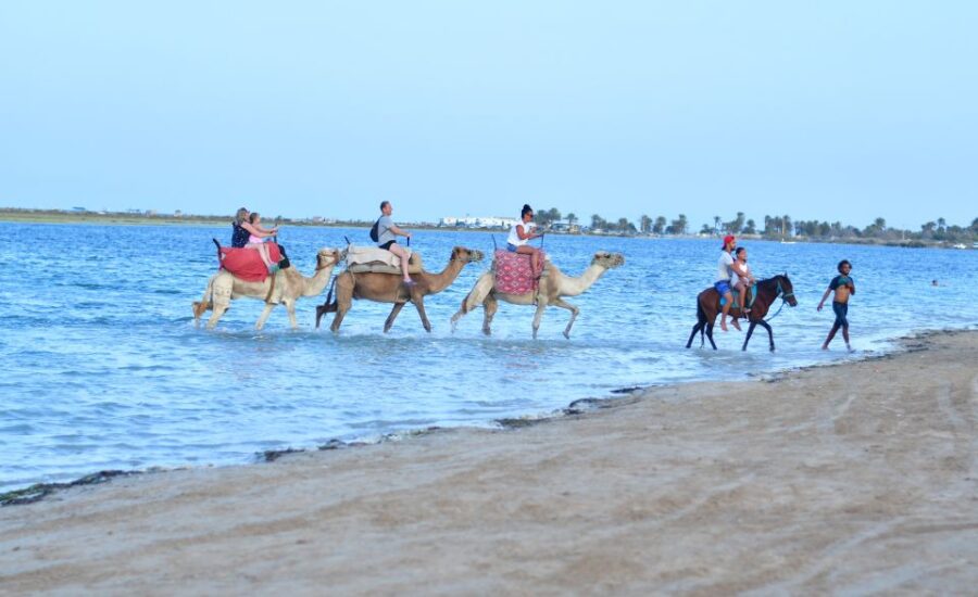 16 Best Tours In Djerba