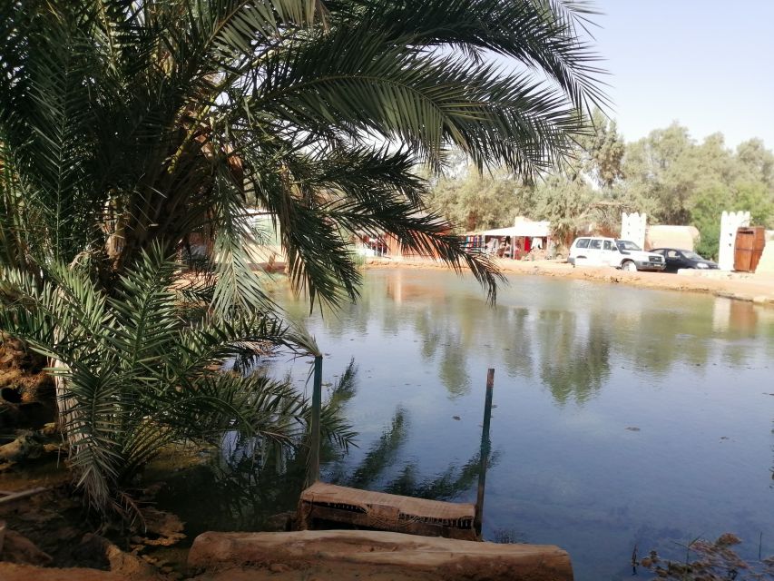 Djerba: Ksar Ghilane and Berber Villages Day Tour With Lunch - Overview of the Day Tour