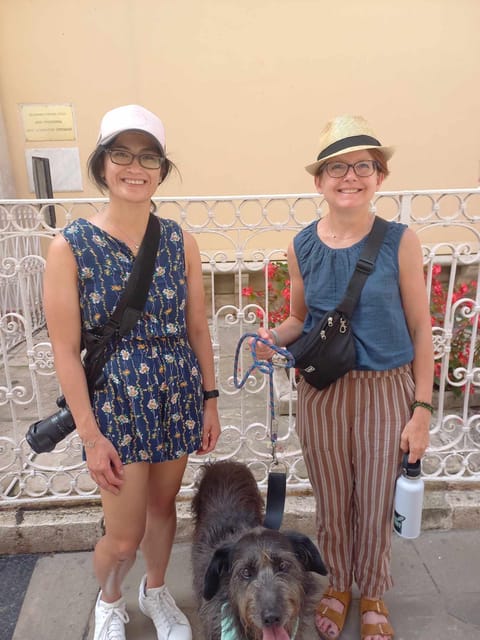Dog City Tour or Enjoy the City With 4 Paws Guide