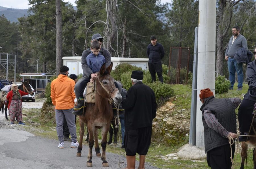 Donkey Safari and Village Tour With Lunch