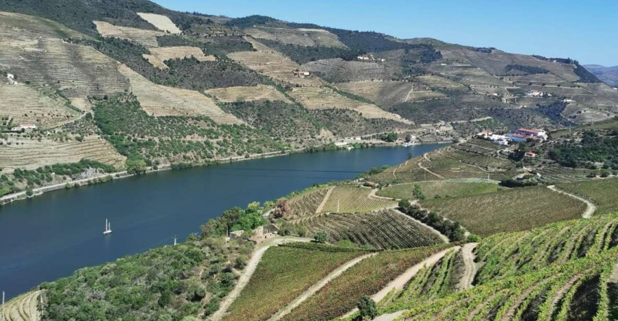 Douro Exclusive: The Full Tour!