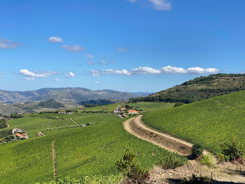 Douro: Luxury Walking With Full Lunch at Quinta Do Portal