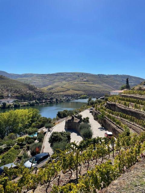 DOURO: TOUR FD DOURO VINEYARD SEDAN