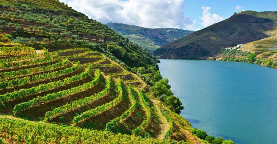 Douro Valley & Amarante – From Porto or Guimarães